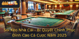Soi Keo Nha Cai Bi Quyet Chinh Phuc Inh Cao Ca Cuoc Nam 2025